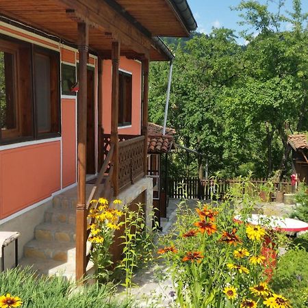 Mechta Guest House Koprivchtitsa Extérieur photo