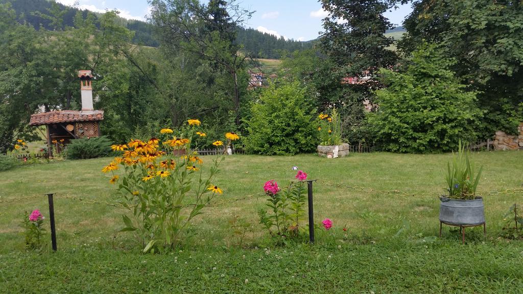Mechta Guest House Koprivchtitsa Extérieur photo