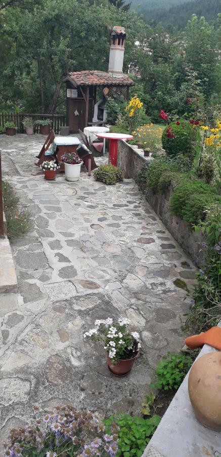 Mechta Guest House Koprivchtitsa Extérieur photo