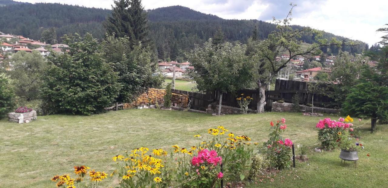 Mechta Guest House Koprivchtitsa Extérieur photo